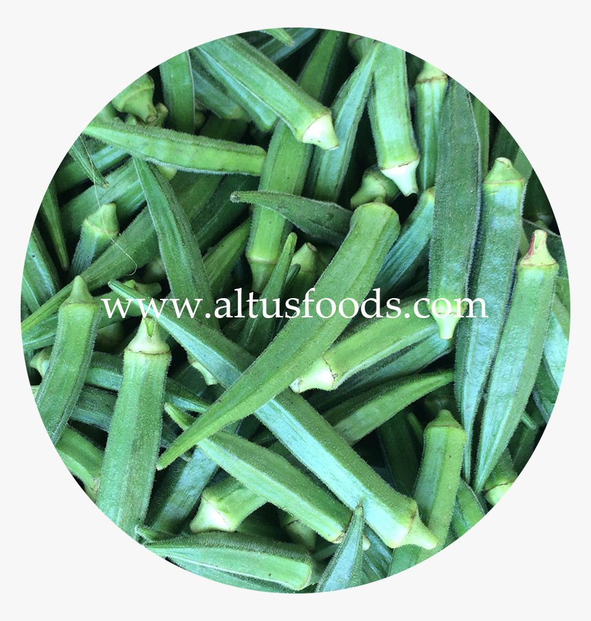 Fresh Indian Okra - Okra, HD Png Download
