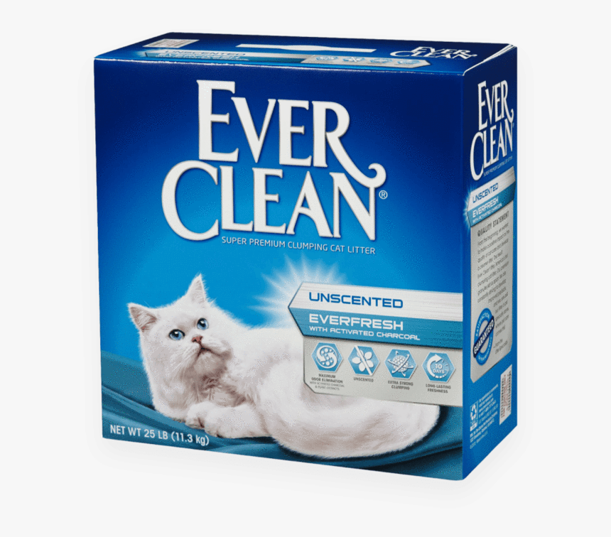 Ever fresh. Ever fresh. Triumph бюстгальтер padded bra. Ever fresh. Jutty ranx.