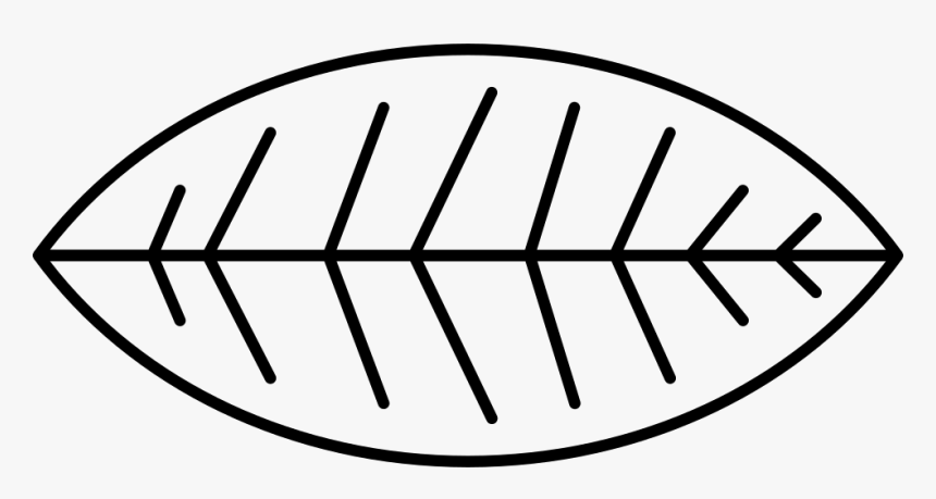 Leaf Of A Bush - Cute Rainbow Watercolor, HD Png Download