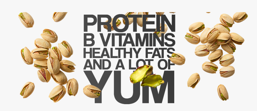 Protein, B Vitamins, Healthy Fats And A Lot Of Tum - Pistachio, HD Png Download
