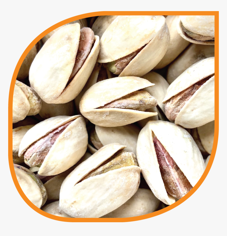 Pistachio, HD Png Download