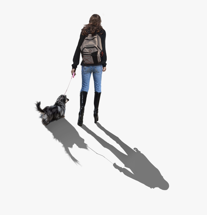 Companion Dog, HD Png Download