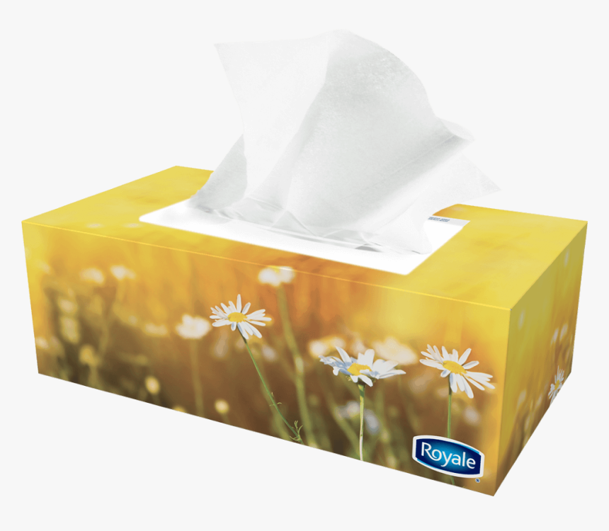 Royale Tissue Box , Png Download - Mouchoirs Png, Transparent Png