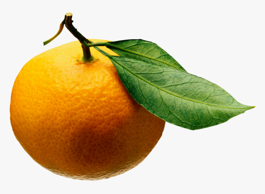 Fruits And Vegetables On Transparent , Png Download - Disease Cycle Of Citrus Greening, Png Download