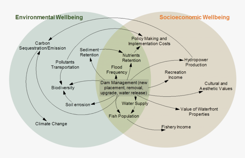 Stakeholder Of A Dam, HD Png Download