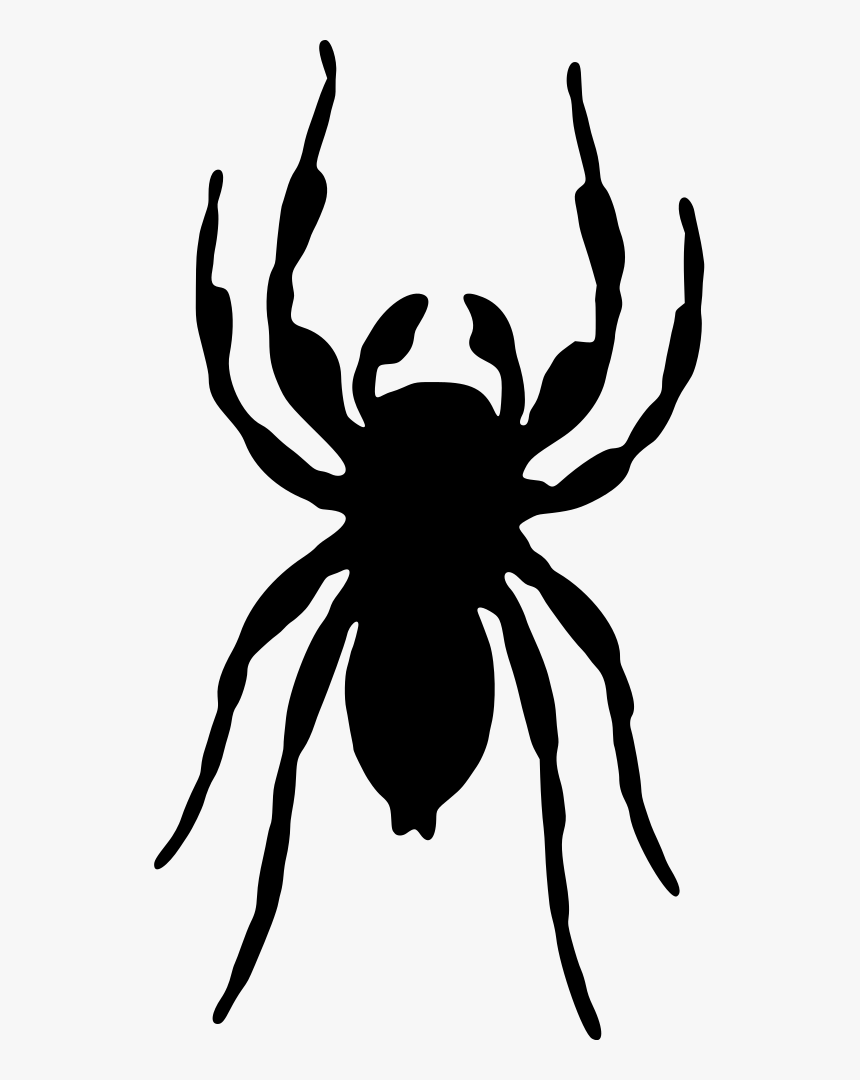 Tangleweb Spider,stencil,spider - Jumping Spider Silhouette Transparent, HD Png Download