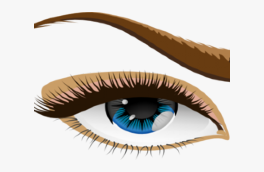 Human Eye Cliparts - Eye Clip Art, HD Png Download