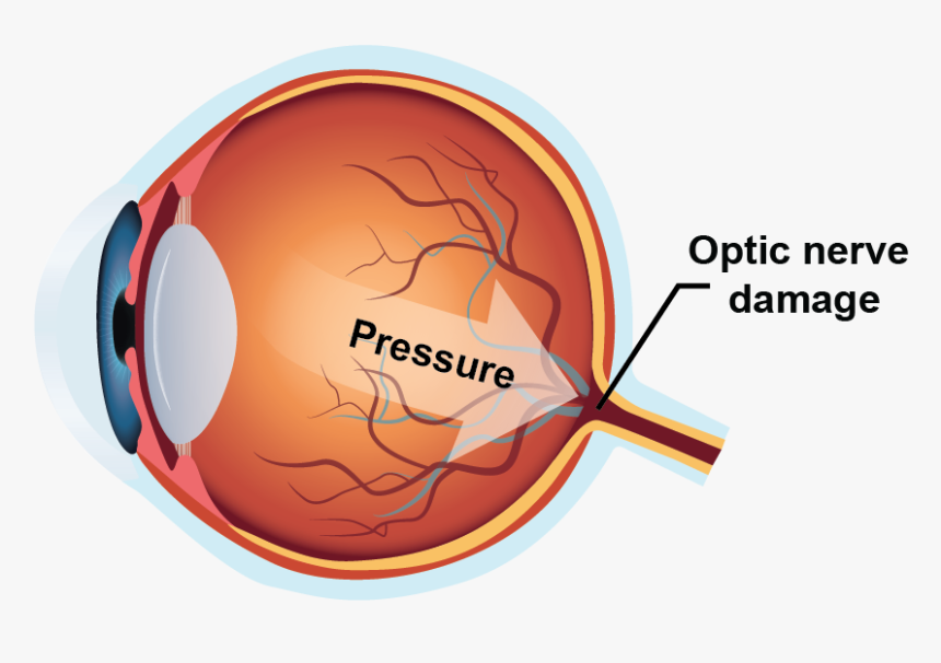 Diagram, HD Png Download