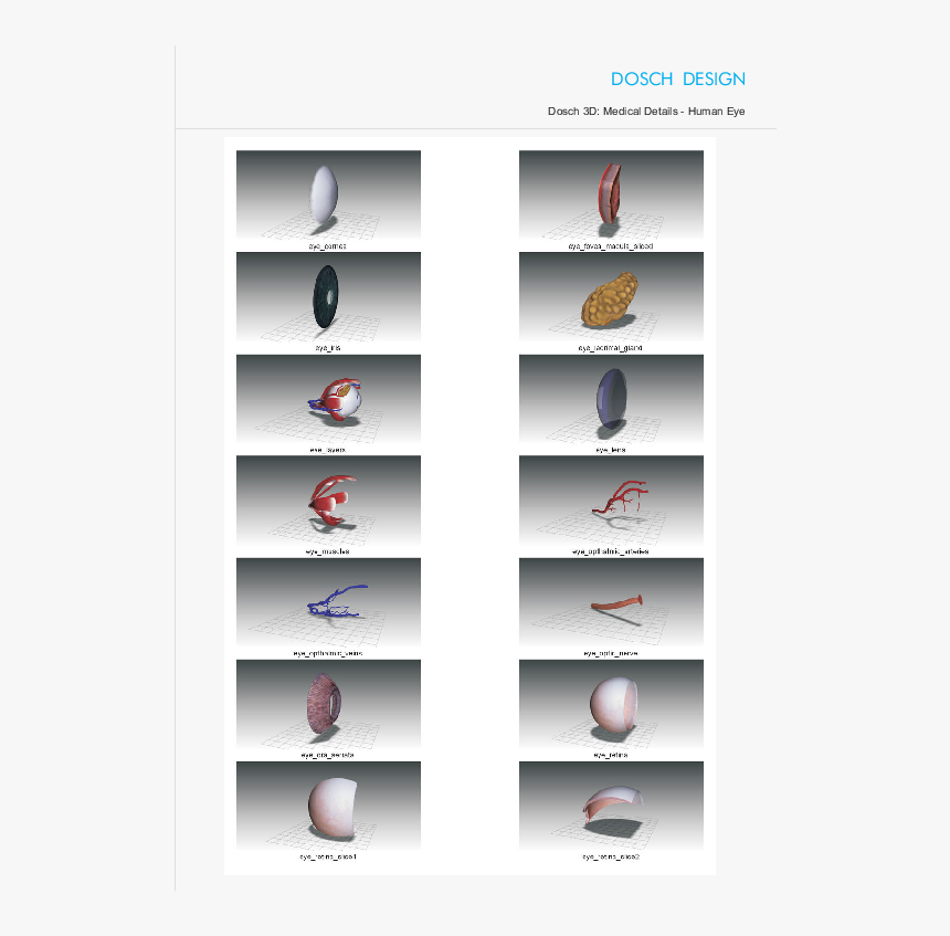 Vocational Guidance, HD Png Download