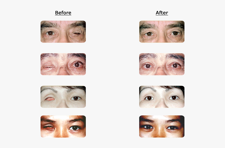 Collage, HD Png Download