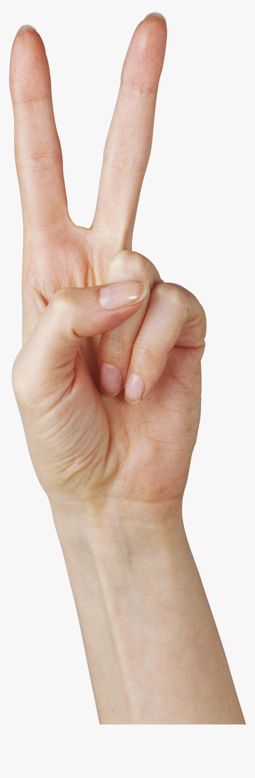 Two Finger Hand - 2 In Hands, HD Png Download