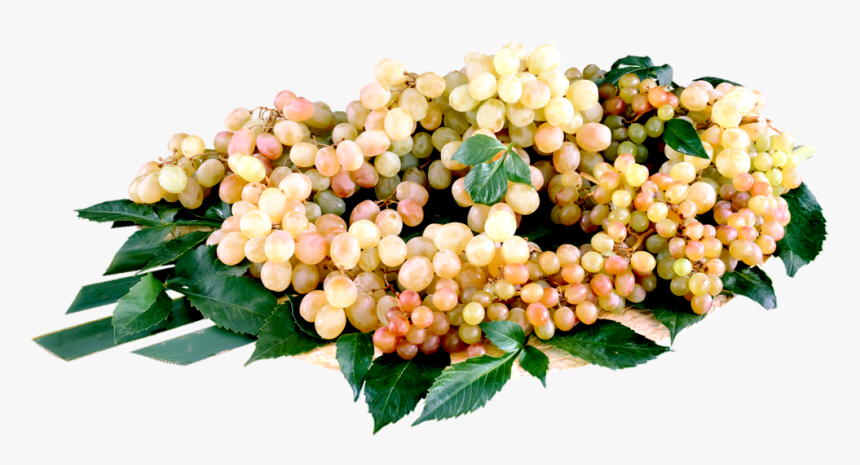 Fruit, HD Png Download