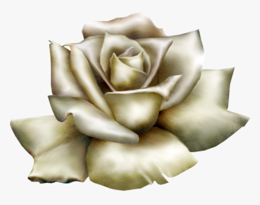 Flower Polyvore Crown Garland Wreath - White Rose Clipart, HD Png Download