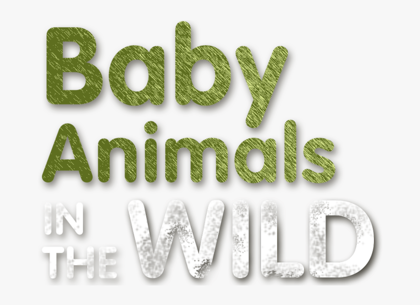 Transparent Baby Animals Png - Graphics, Png Download