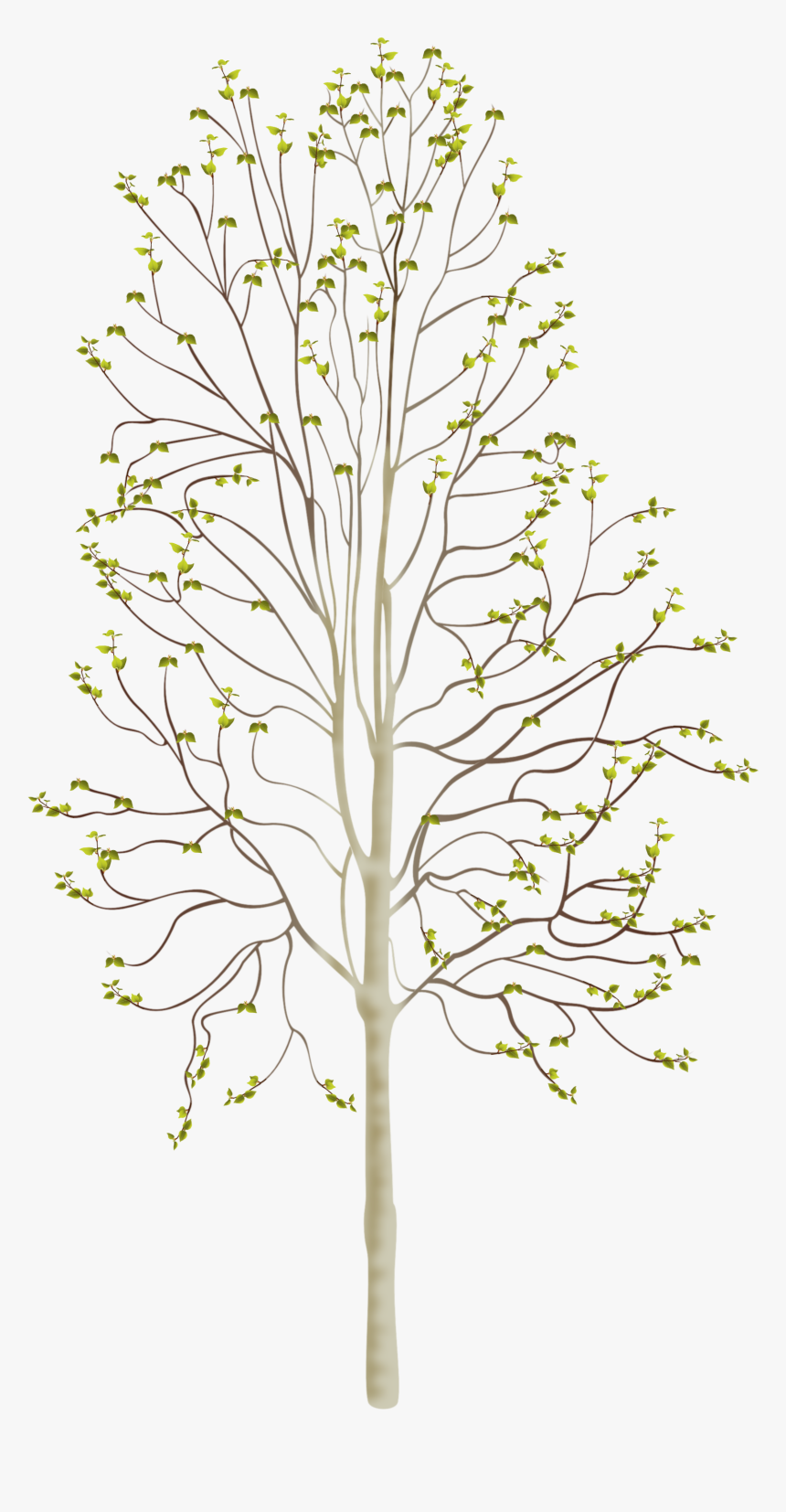 Transparent Tree Of Life Vector Png - Plants, Png Download