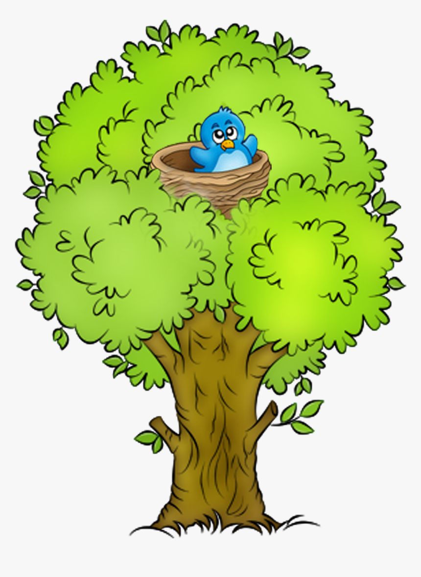 Park Clipart Spring - Arbre Clipart, HD Png Download