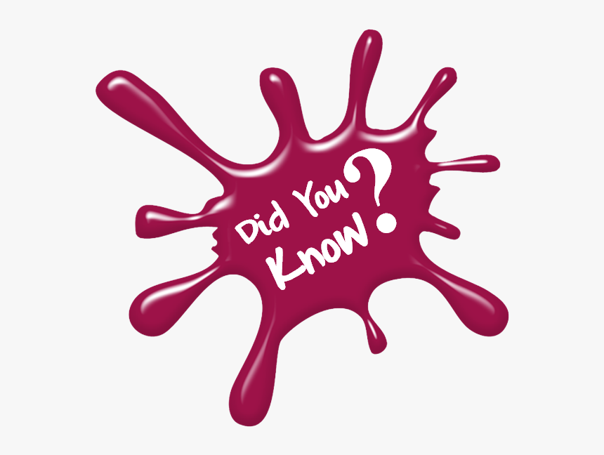 Did You Know Splat Transparent - Meraki Hair Oil, HD Png Download