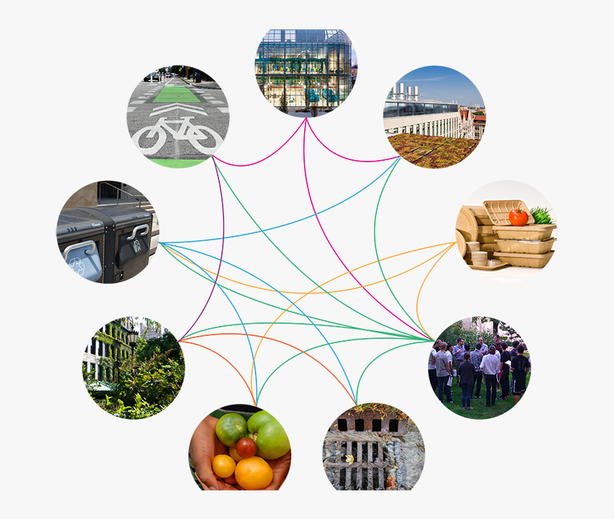 Transparent Bush Plan Png - Circle, Png Download