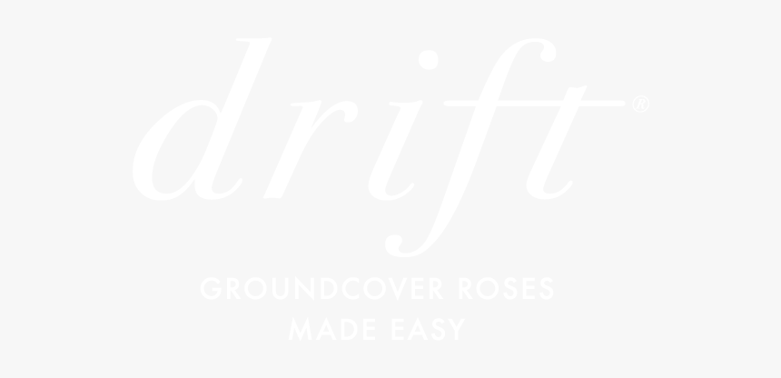 Drift® Groundcover Roses - Johns Hopkins White Logo, HD Png Download