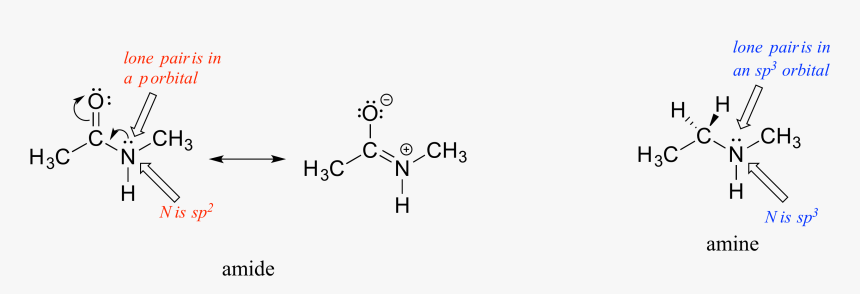 Resonance And Hybridization, HD Png Download