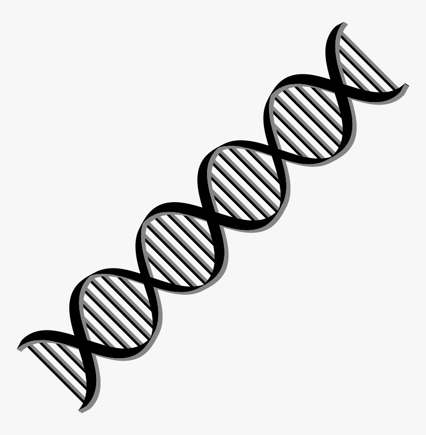 Dna Png Free Download - Dna Helix Png, Transparent Png