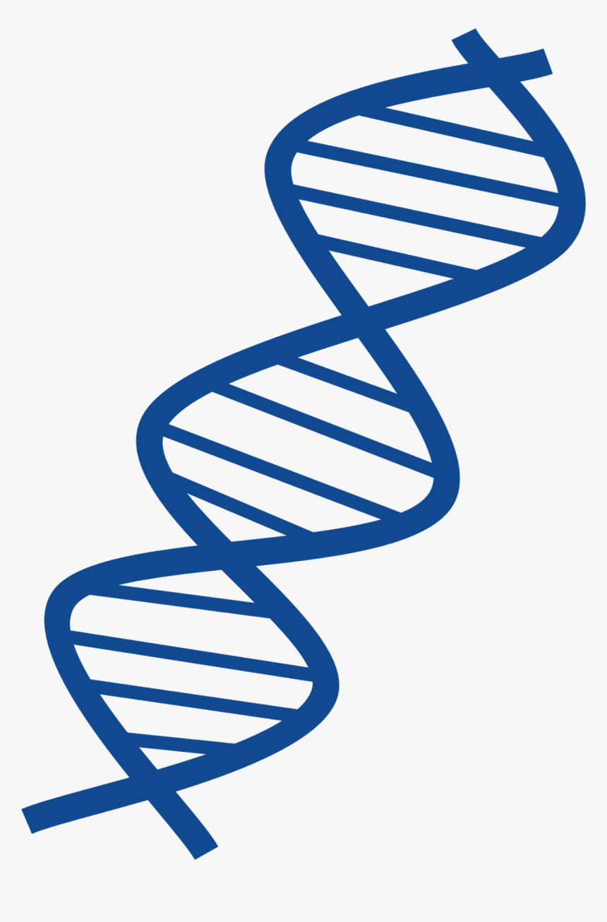 Thin And Blue Dna Transparent Image - Dna Clipart Png, Png Download