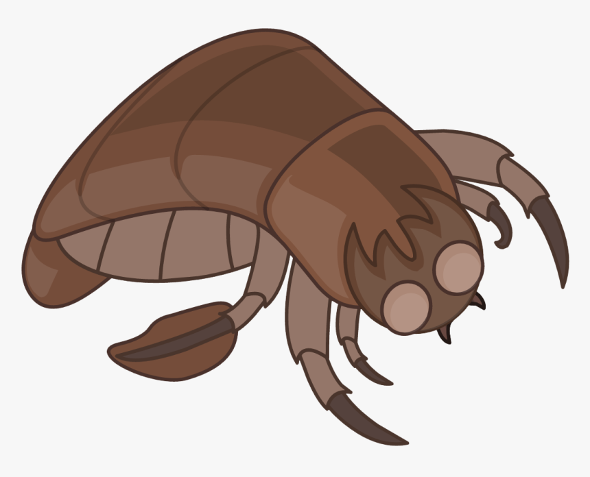 Cartoon, HD Png Download