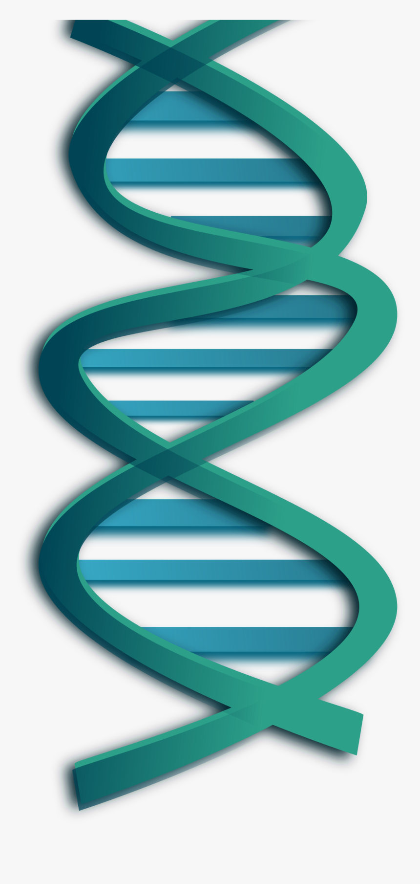 Dna Png - Dna Clip Art, Transparent Png