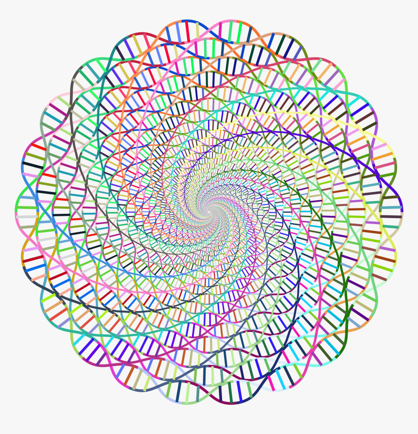 Transparent Rainbow Vector Png - Deoxyribonucleic Acid, Png Download