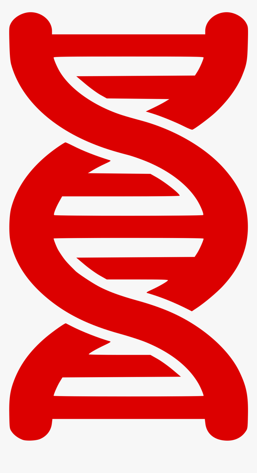 Dna Png - Dna Strand Png, Transparent Png