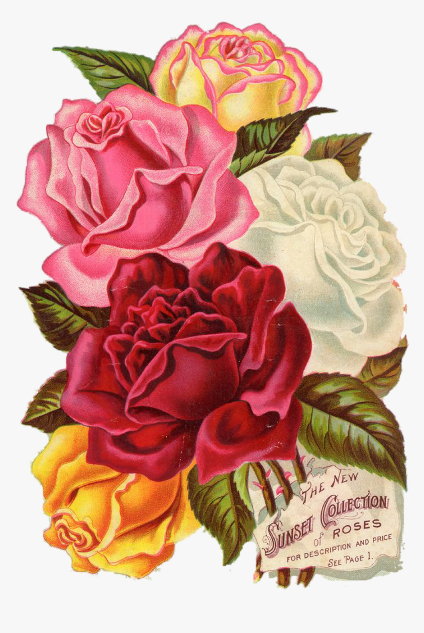 Printable Flower Scrapbook Design, HD Png Download