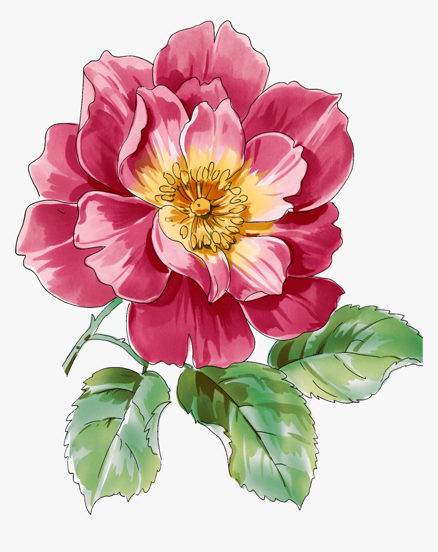 Transparent Botanical Clipart - Paintings Of Flower Peony, HD Png Download