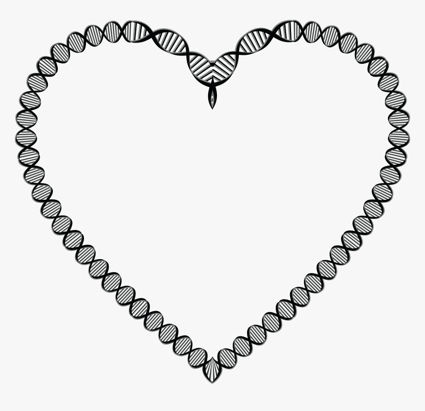 Transparent Dna Clipart - Dna Double Helix Heart, HD Png Download
