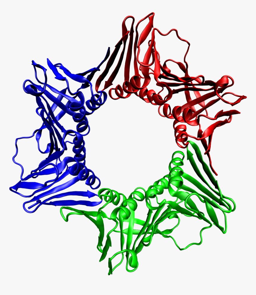 1axc Tricolor - Pcna Proteina, HD Png Download