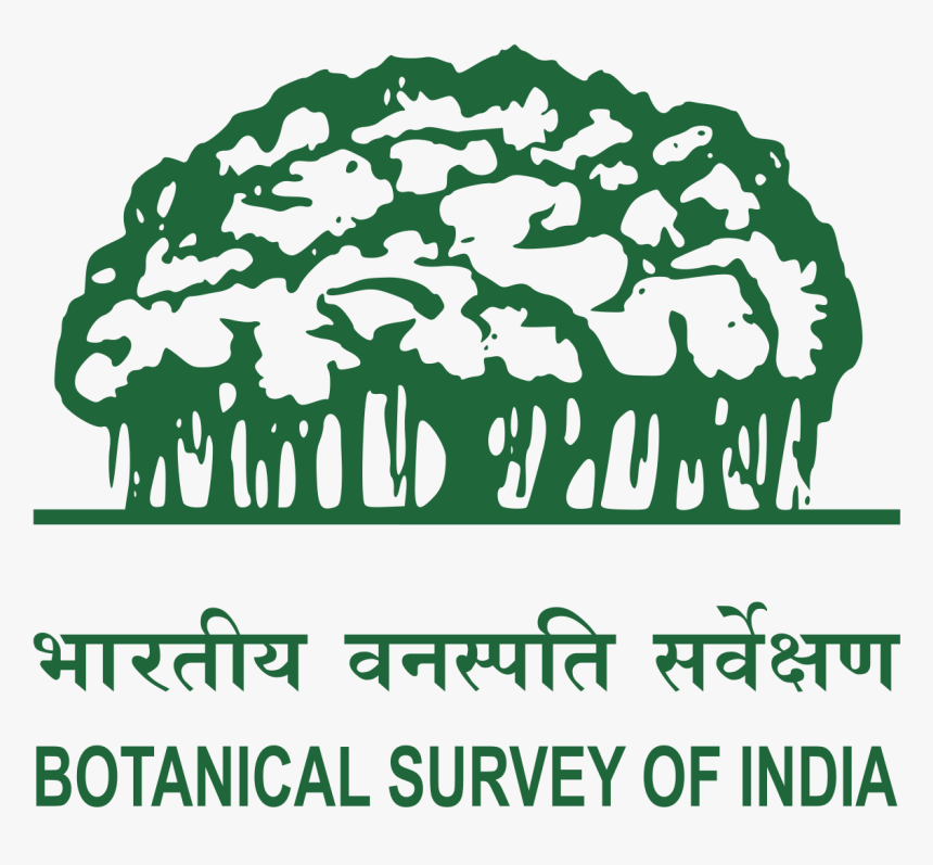 Information About Botanical Survey Of India, HD Png Download