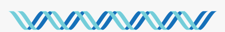Dna, Dna Icon, Icon, Double Stranded Dna, Helix - Graphics, HD Png Download