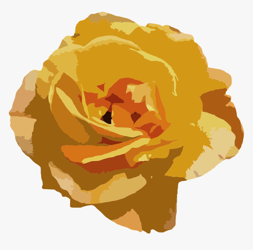 Garden Roses, HD Png Download