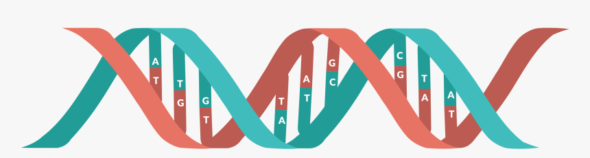 Genetics Clipart People