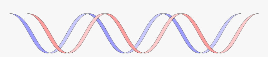 Dna, Gene, Genetics, Molecule, Science, Helix, HD Png Download