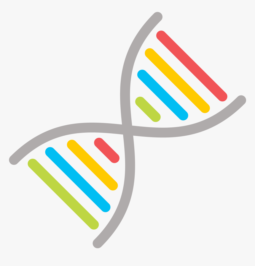 Clip Art Dna Graphic - Graphic Design, HD Png Download