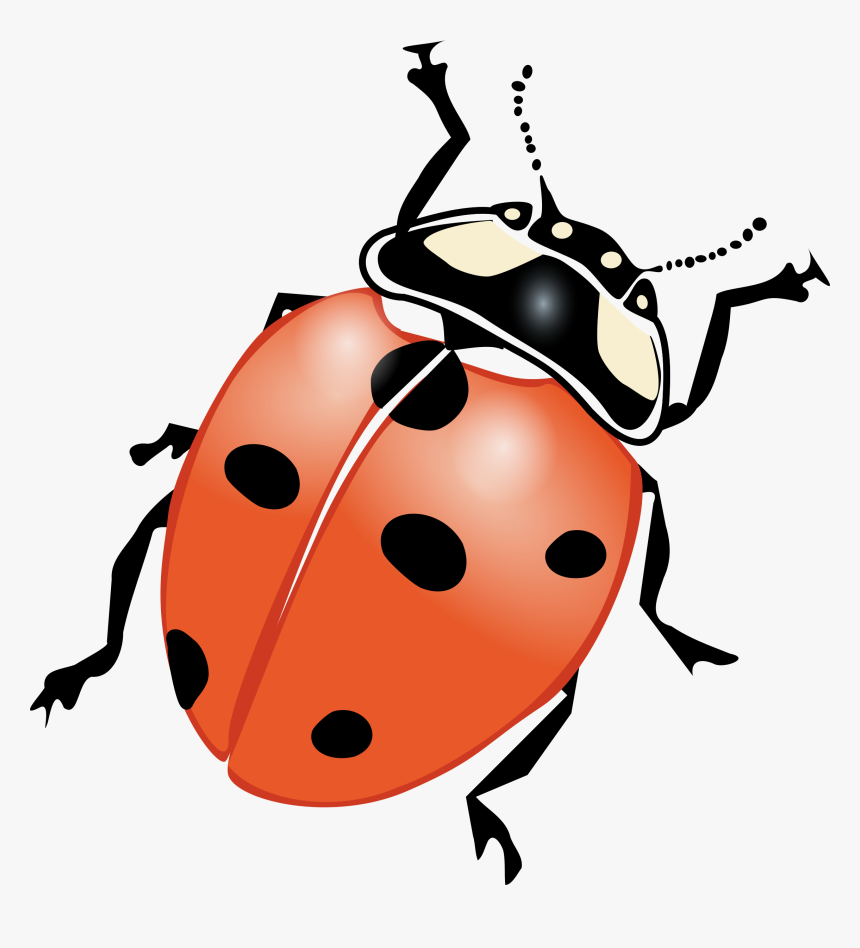 Lady Bug Clip Art Black And White - Ladybug Clipart, HD Png Download