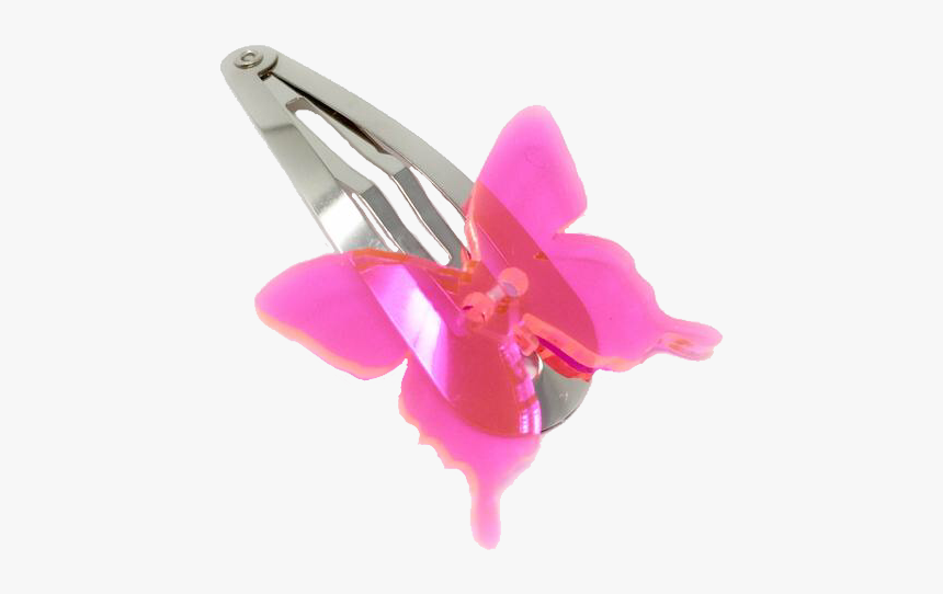 Cattleya, HD Png Download