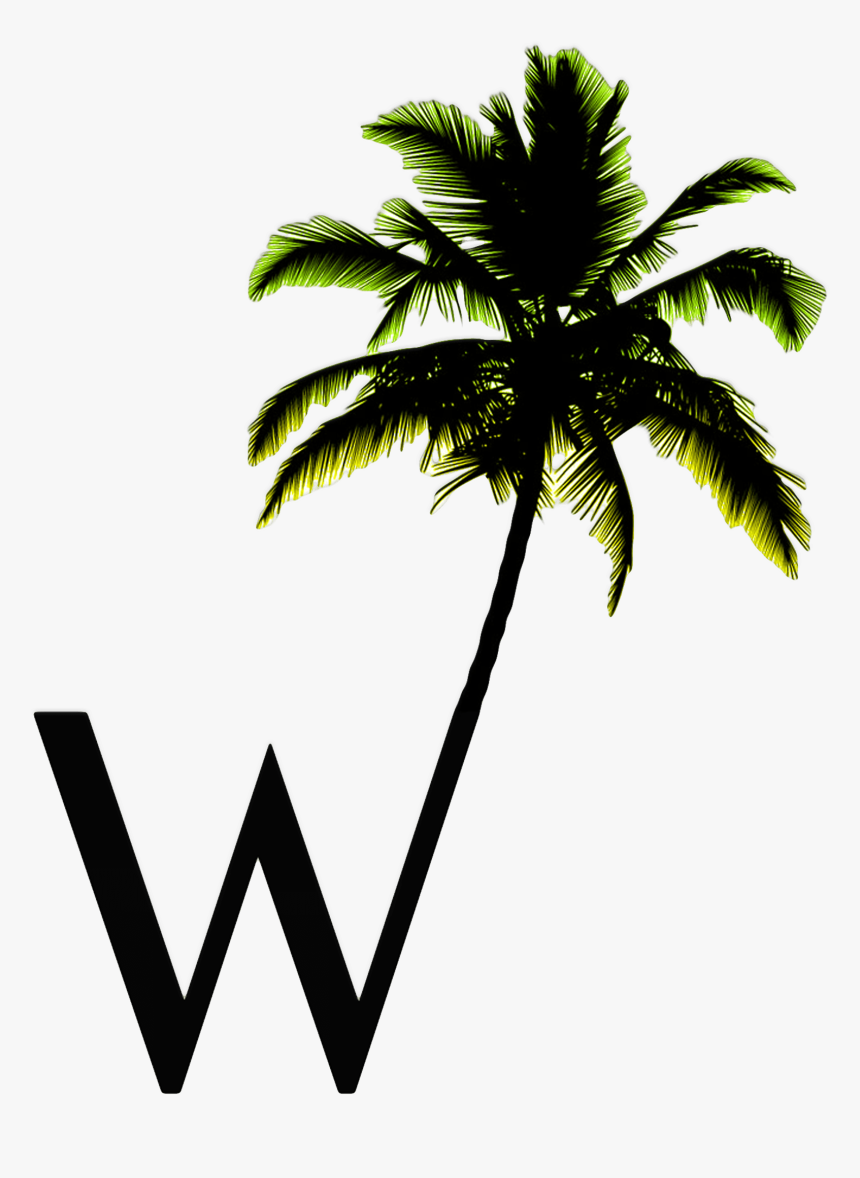 Transparent No Room At The Inn Clipart - Coconut Tree Silhouette Png, Png Download