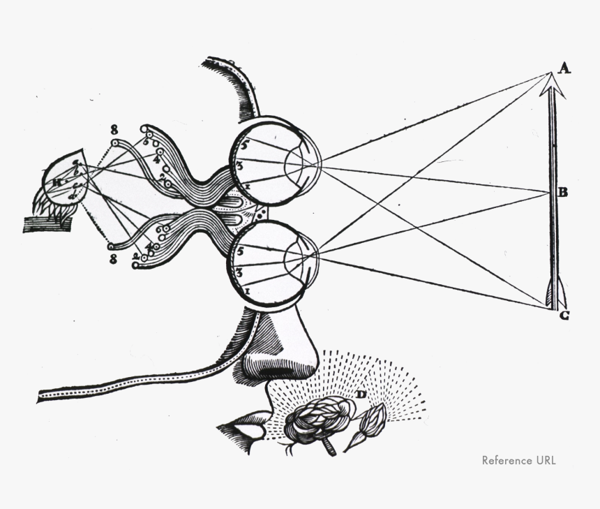 Hearing - Illustration Rene Descartes Art, HD Png Download