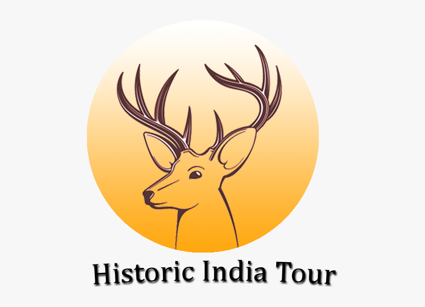 Outline Drawings Of Deer Heads, HD Png Download