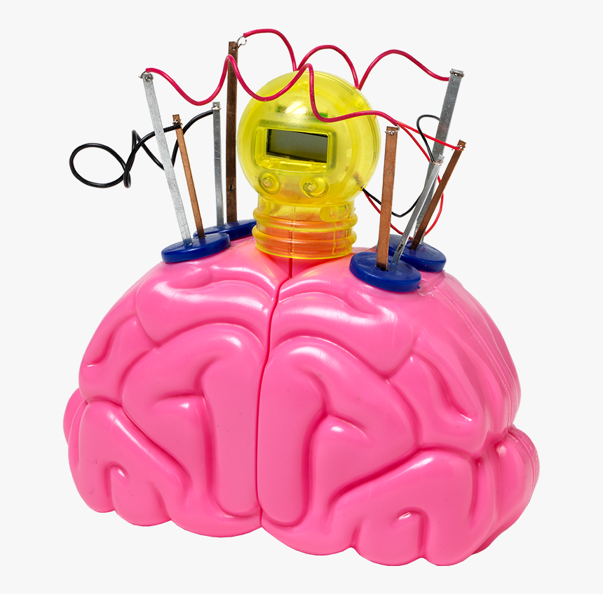 0018 10621 Thinking Time Contents - Baby Toys, HD Png Download