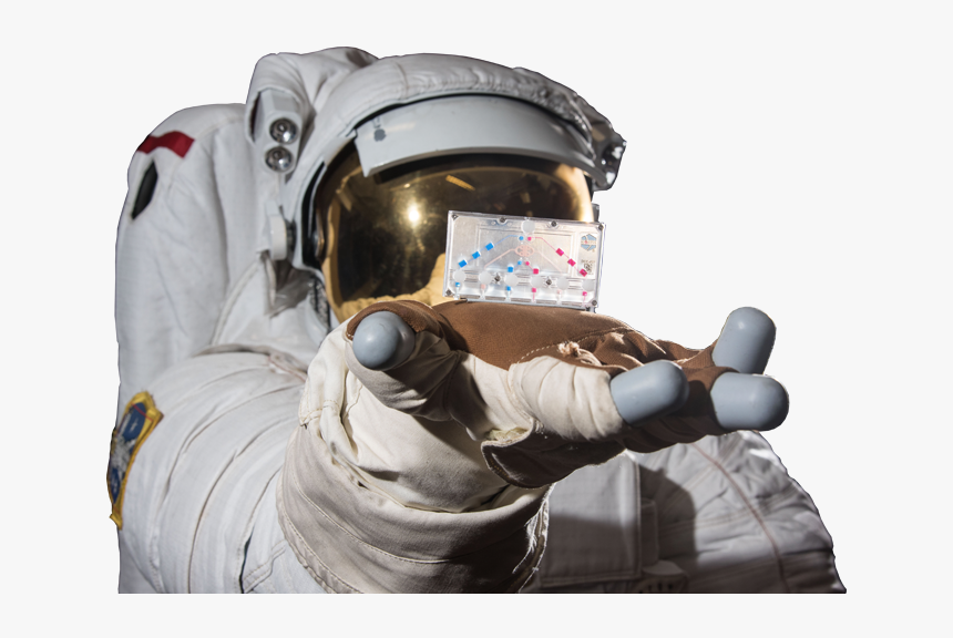 Astronaut - Organ On A Chip Space, HD Png Download
