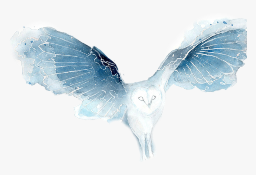 Download Transparent Owl Flying Png Watercolor Galaxy Owl Png Download Transparent Png Image Pngitem