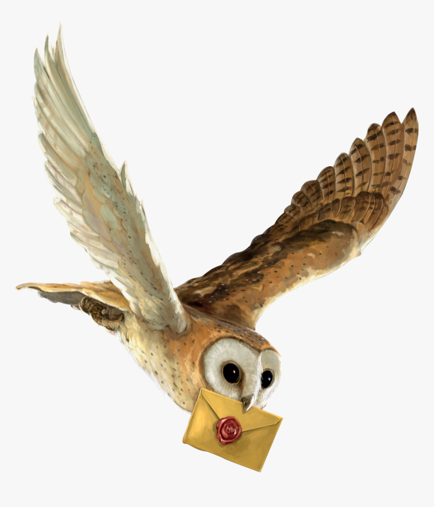 Harry Potter And The Philosopher S Stone Owl Hedwig Harry Potter Owl