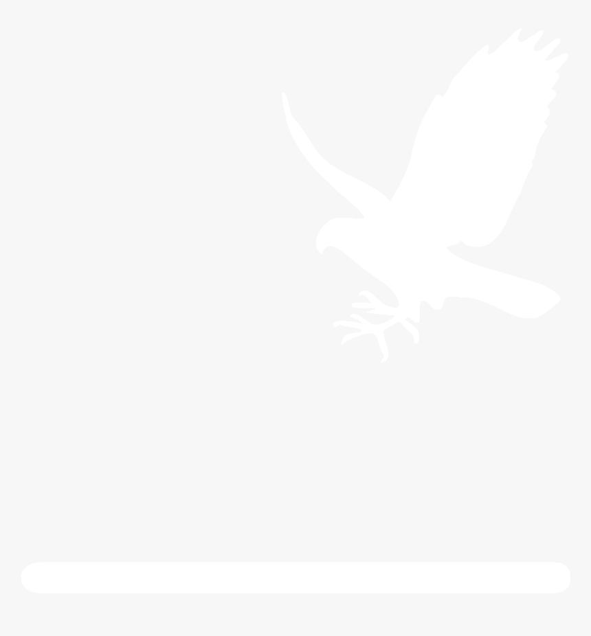 Flying Falcon Outline Png, Transparent Png